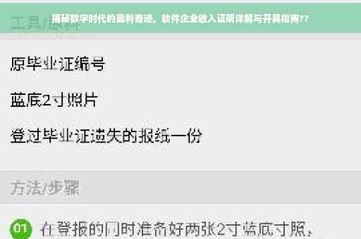 揭秘数字时代的盈利奇迹，软件企业收入证明详解与开具指南??
