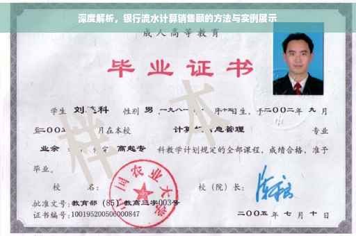 深度解析，银行流水计算销售额的方法与实例展示