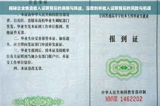 揭秘企业售卖收入证明背后的真相与挑战，深度剖析收入证明背后的风险与机遇