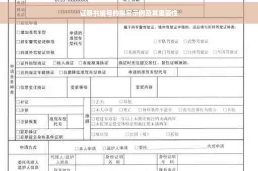 证明书编号的撰写示例及其重要性