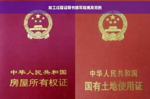 加工过程证明书撰写指南及范例