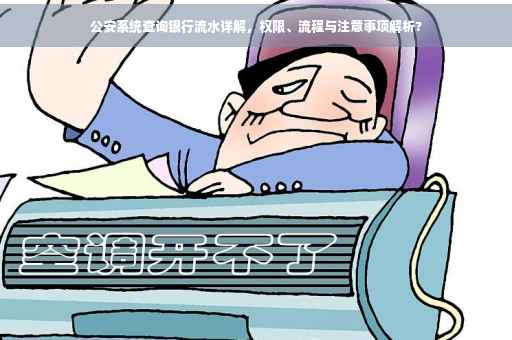 公安系统查询银行流水详解，权限、流程与注意事项解析?