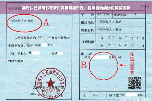 离婚纠纷证明书背后的真相与复杂性，揭示离婚纠纷的真实面貌