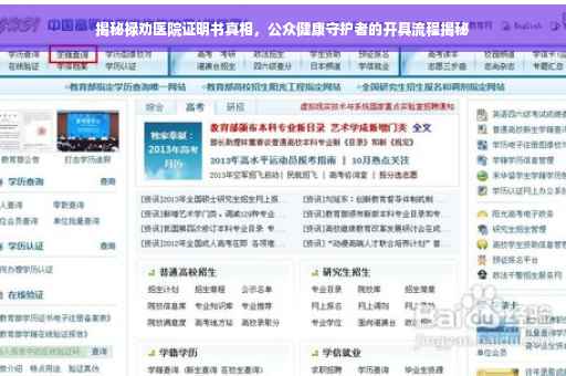 揭秘禄劝医院证明书真相，公众健康守护者的开具流程揭秘