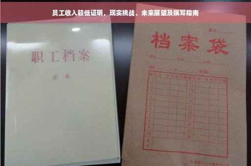 员工收入较低证明，现实挑战、未来展望及撰写指南