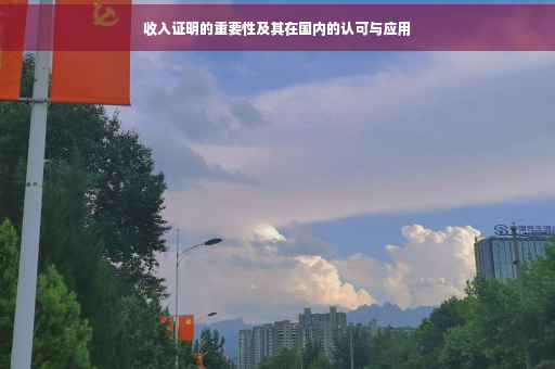 收入证明的重要性及其在国内的认可与应用