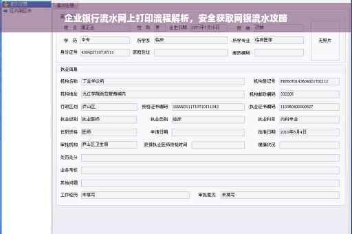 企业银行流水网上打印流程解析，安全获取网银流水攻略