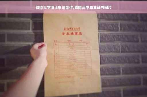 隆德大学博士申请条件,隆德高中毕业证书图片