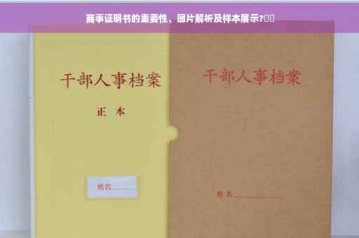 商事证明书的重要性、图片解析及样本展示?⚡️