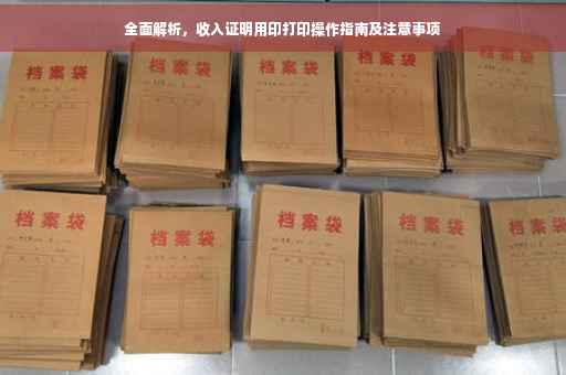 全面解析，收入证明用印打印操作指南及注意事项