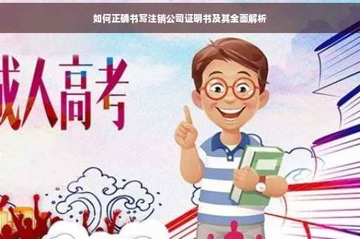 如何正确书写注销公司证明书及其全面解析