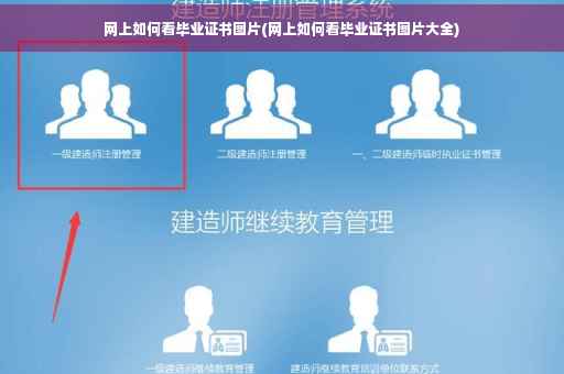 网上如何看毕业证书图片(网上如何看毕业证书图片大全)