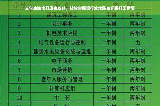 支付宝流水打印全攻略，轻松掌握银行流水账单详细打印步骤