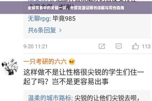 全球贸易中的关键一环，外贸货源证明书详解与写作指南