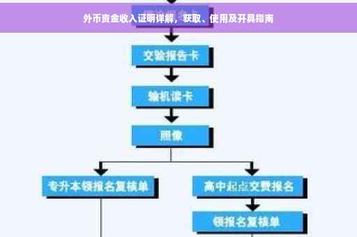 外币资金收入证明详解，获取、使用及开具指南