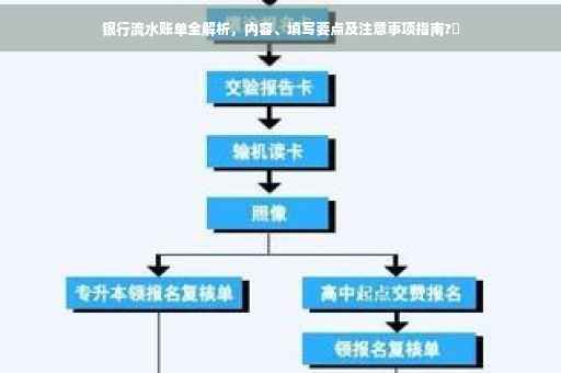 银行流水账单全解析，内容、填写要点及注意事项指南?✨