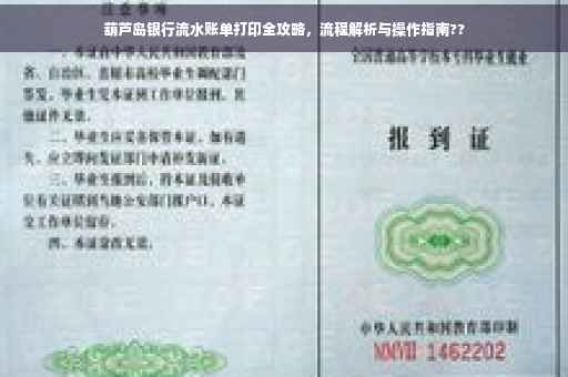 葫芦岛银行流水账单打印全攻略，流程解析与操作指南??