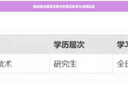 揭秘撤消婚姻证明书的背后故事与真相探索