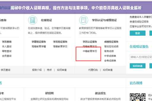 揭秘中介收入证明真相，操作方法与注意事项，中介能否开具收入证明全解析