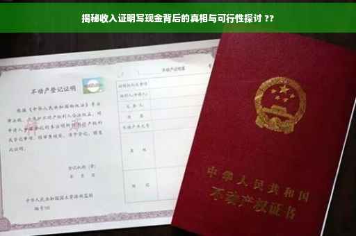 揭秘收入证明写现金背后的真相与可行性探讨 ??