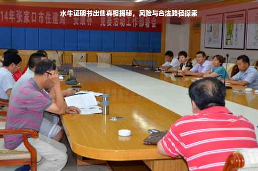 水牛证明书出售真相揭秘，风险与合法路径探索