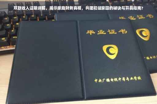 双联收入证明详解，揭示家庭财务真相，共建和谐家园的秘诀与开具指南?