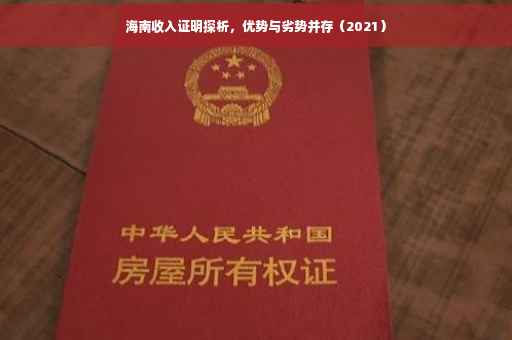 海南收入证明探析，优势与劣势并存（2021）
