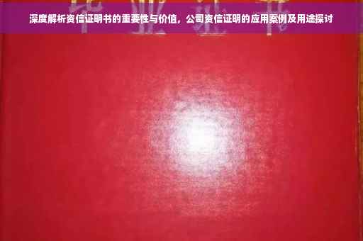 深度解析资信证明书的重要性与价值，公司资信证明的应用案例及用途探讨
