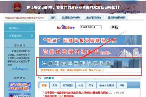 护士鉴定证明书，专业能力与职业素养的双重认证模板??