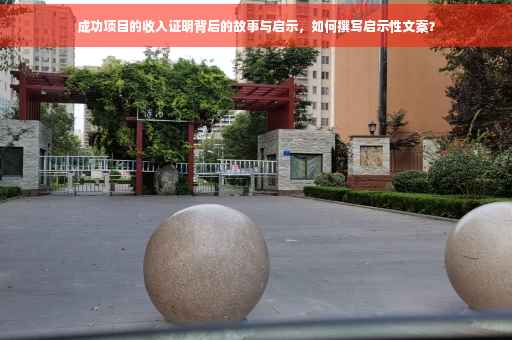 成功项目的收入证明背后的故事与启示，如何撰写启示性文案？