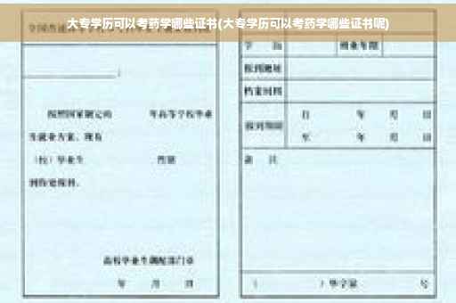 大专学历可以考药学哪些证书(大专学历可以考药学哪些证书呢)