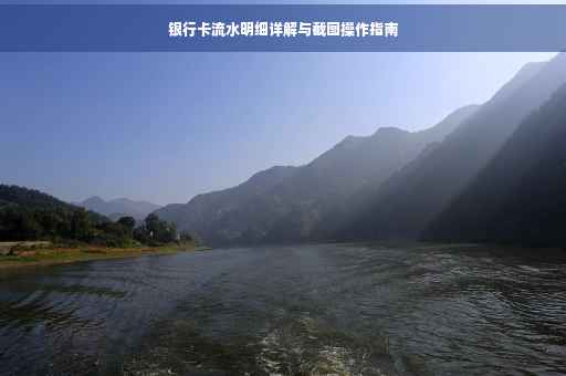 银行卡流水明细详解与截图操作指南