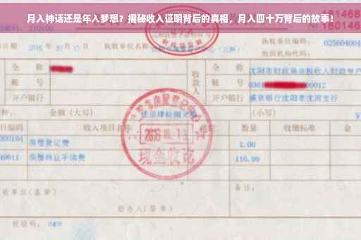 月入神话还是年入梦想？揭秘收入证明背后的真相，月入四十万背后的故事！