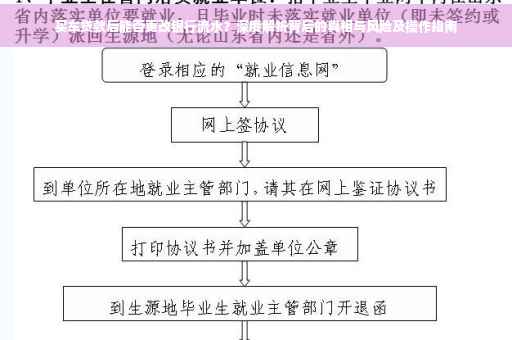 买车贷款后能否更改银行流水？深度解析背后的真相与风险及操作指南