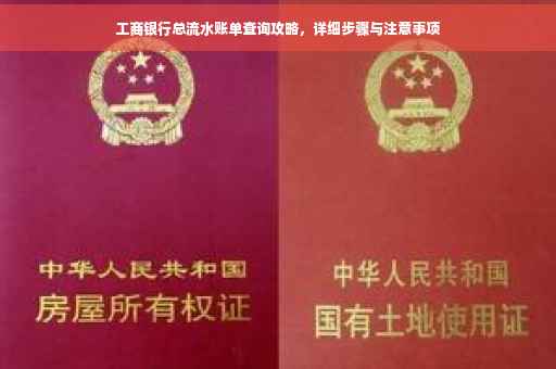 工商银行总流水账单查询攻略，详细步骤与注意事项