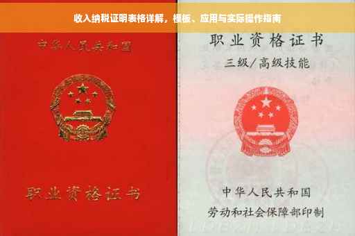 收入纳税证明表格详解，模板、应用与实际操作指南