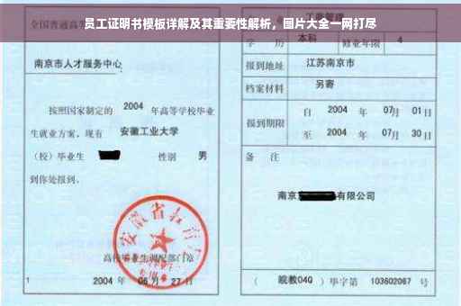 员工证明书模板详解及其重要性解析，图片大全一网打尽