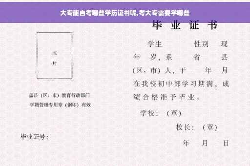 大专能自考哪些学历证书呢,考大专需要学哪些