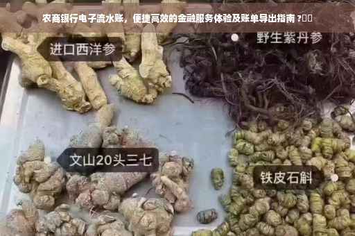 农商银行电子流水账，便捷高效的金融服务体验及账单导出指南 ?⚡️