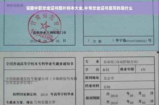 安徽中职毕业证书图片样本大全,中专毕业证书是写的是什么