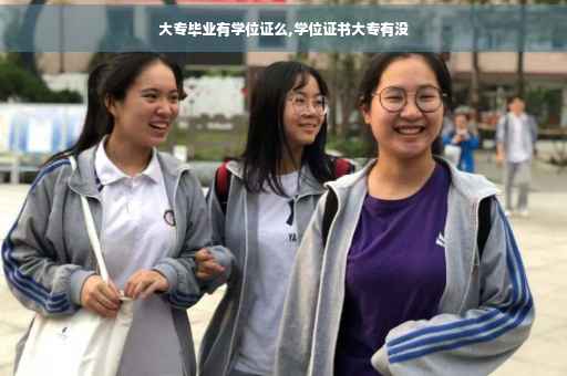 大专毕业有学位证么,学位证书大专有没