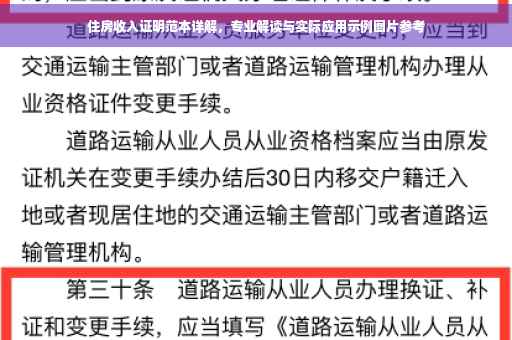 住房收入证明范本详解，专业解读与实际应用示例图片参考