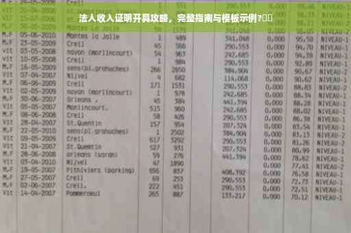 法人收入证明开具攻略，完整指南与模板示例?⚡️