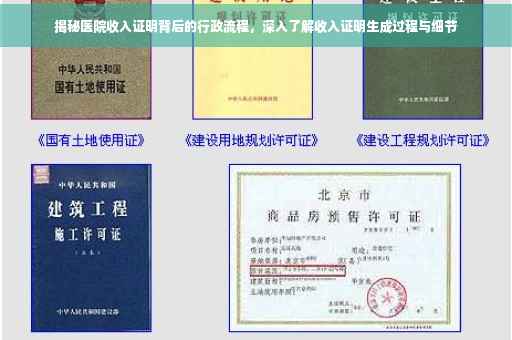 揭秘医院收入证明背后的行政流程，深入了解收入证明生成过程与细节