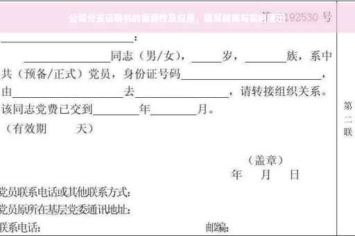 公司分支证明书的重要性及应用，撰写指南与实例展示