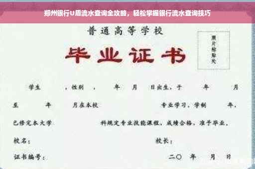 郑州银行U盾流水查询全攻略，轻松掌握银行流水查询技巧
