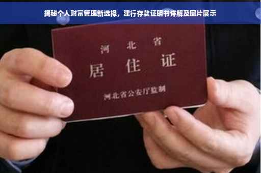 揭秘个人财富管理新选择，建行存款证明书详解及图片展示