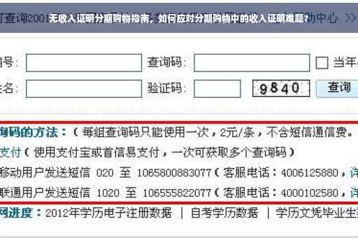 无收入证明分期购物指南，如何应对分期购物中的收入证明难题？