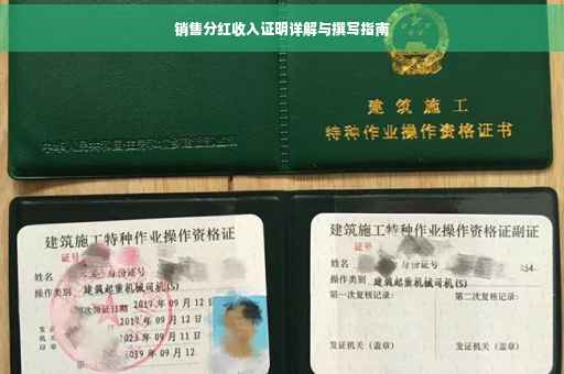 销售分红收入证明详解与撰写指南