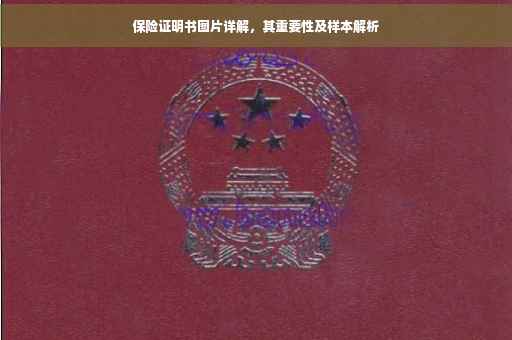 保险证明书图片详解，其重要性及样本解析